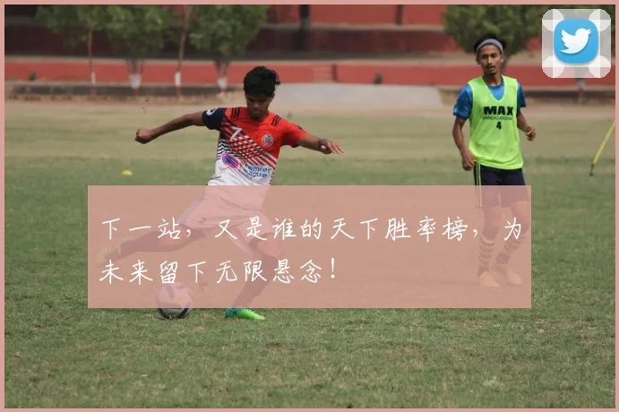 下一站，又是谁的天下胜率榜，为未来留下无限悬念！